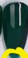 Emerald original DiVera color sample