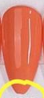 Coral original DiVera color sample